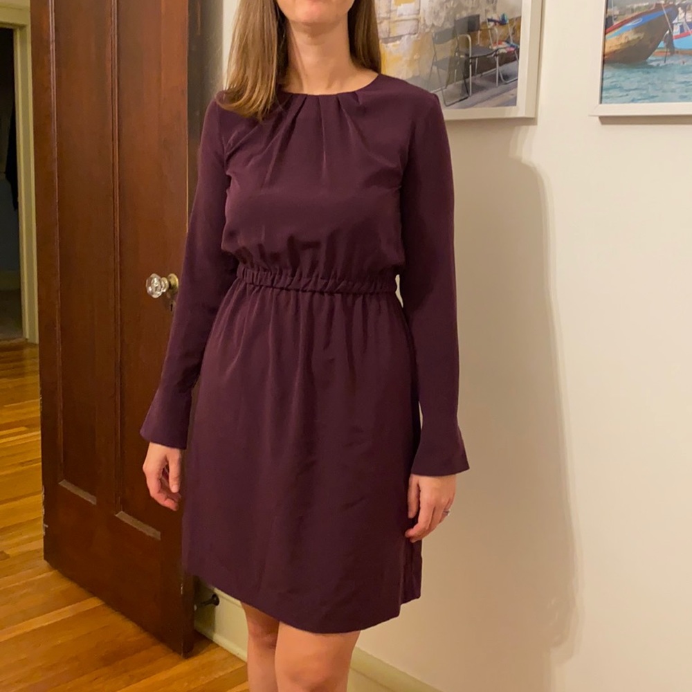 Dressy, long-sleeved purple dress